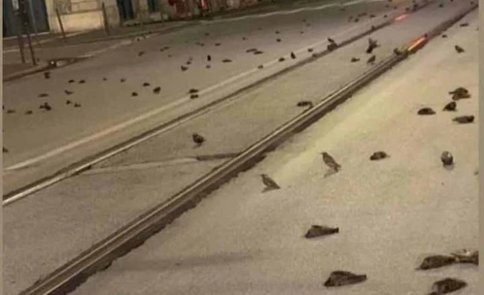 Ak Parti Bahçesaray İlçe Başkanı Sabırlı’dan havai fişek tepkisi 