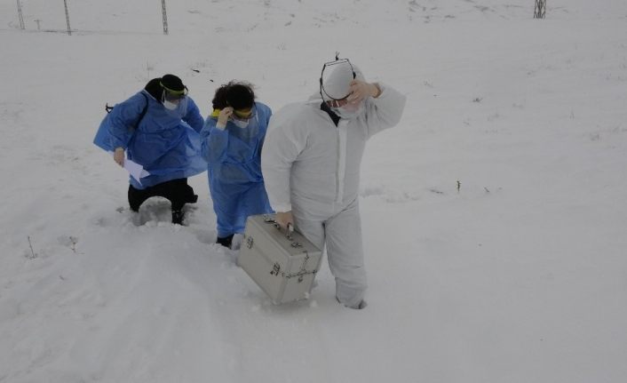 Araçları yolda kalan sağlıkçılar karlı dağları yürüyerek Saadet Nine’nin aşısını yaptı