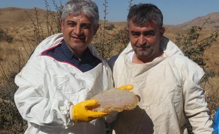 Bitlis’e tarımsal ve hayvansal ürünlerden 2,5 milyar TL girdi sağlandı