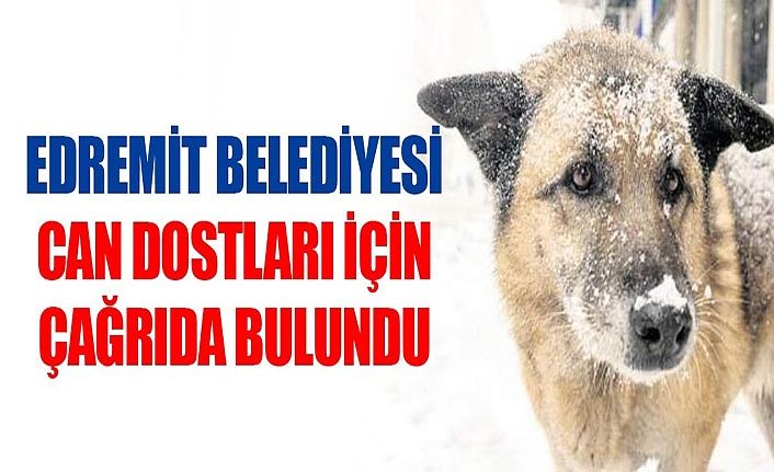 Edremit Belediyesi can dostları için çağrıda bulundu