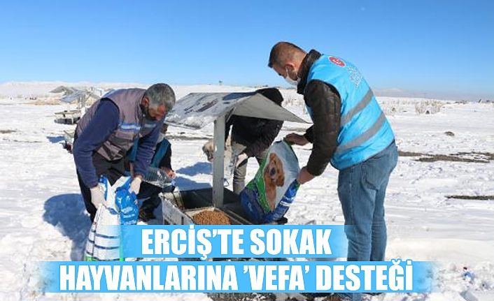 Erciş’te sokak hayvanlarına ’vefa’ desteği