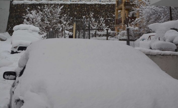 Hakkari’de 213 yerleşim yolu kapandı