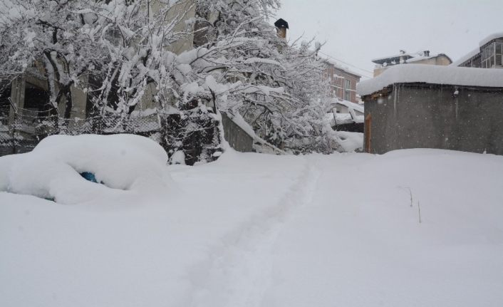 Hakkari’de 328 yerleşim yerinin yolu kapandı