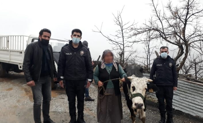 Hayvanı çalınan teyzenin yüzünü polis güldürdü