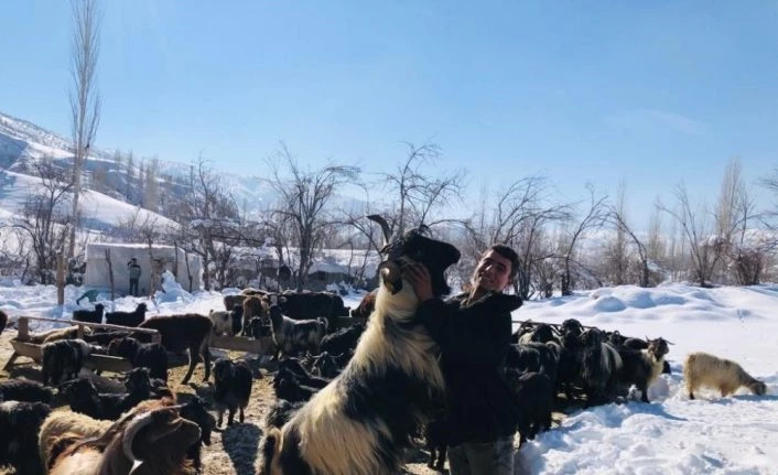 Hizan’da besicilerin zorlu kış mesaisi