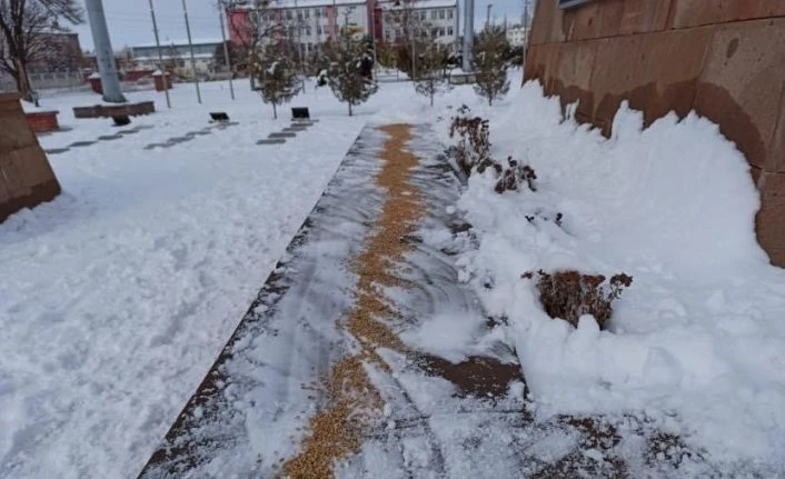 Iğdır’da kar yağışının ardından yaban hayvanları için doğaya yem bırakıldı