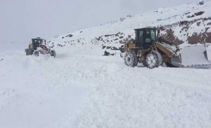 Iğdır’da karla mücadele çalışmaları devam ediyor