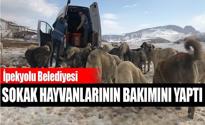 İpekyolu Belediyesi, Sokak hayvanlarını bakımını yaptı