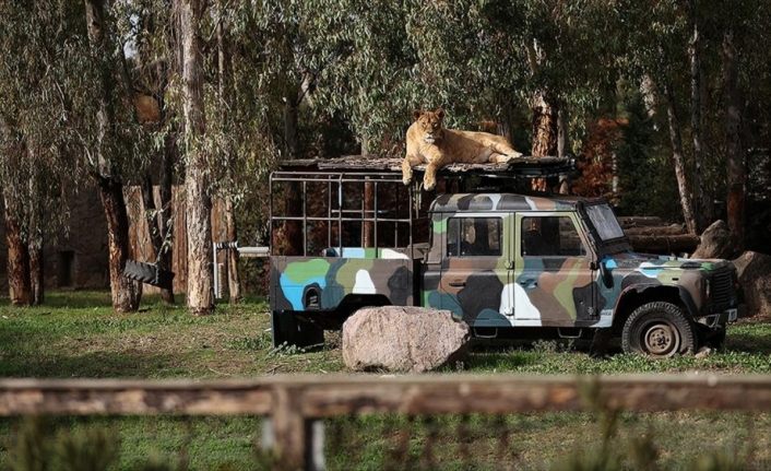 İzmir Doğal Yaşam Parkı yeni yüzüyle salgın sonrasına hazır