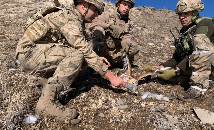 Jandarma komandolardan yaralı şahine şefkat eli