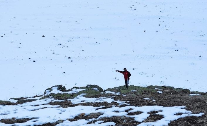 Karla kaplı dağlara yiyecek bıraktılar