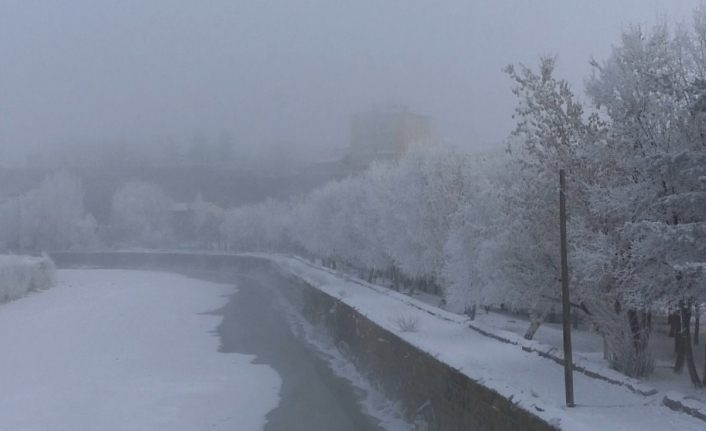 Kars’ta soğuktan sis ve kırağı oluştu