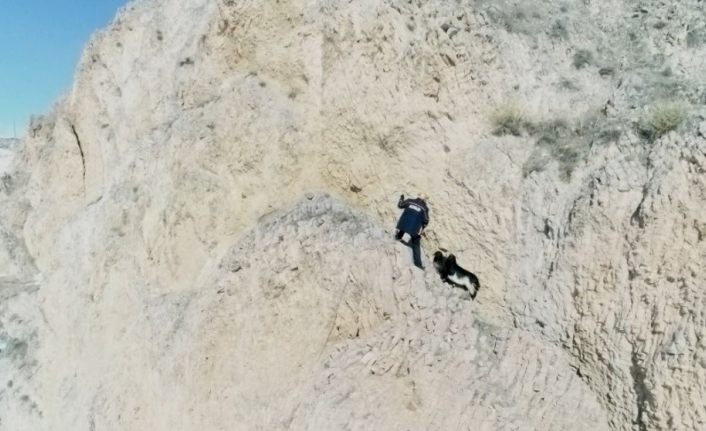 Kayalıklarda mahsur kalan keçileri AFAD kurtardı