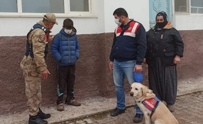 Kayıp çocuğu 6 saat sonra iz takip köpeği buldu