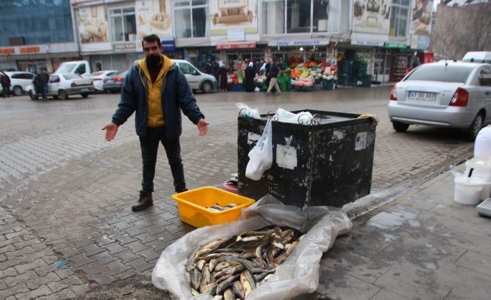 Murat Nehri’nde balık bolluğu