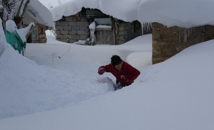 Muş’ta tek katlı evler ve araçlar kara gömüldü