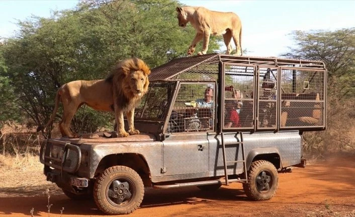 Senegal