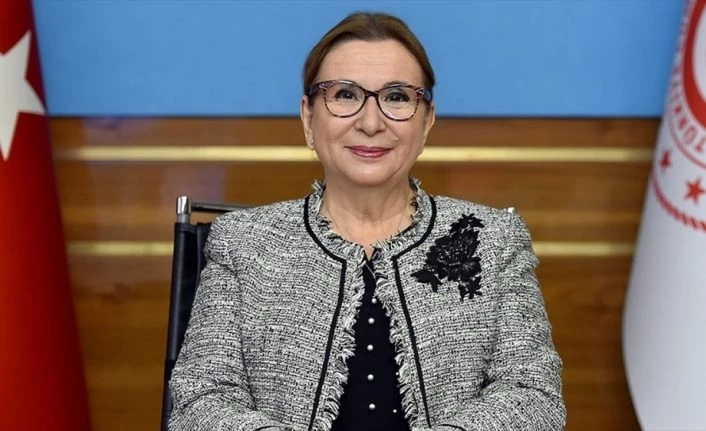 Ticaret Bakanı Pekcan: 2020
