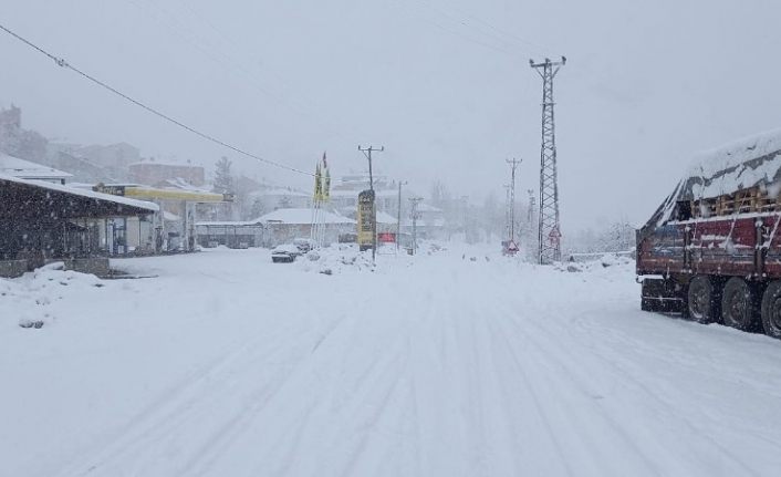 Tunceli’de kar bastırdı, 160 köy yolu kapandı