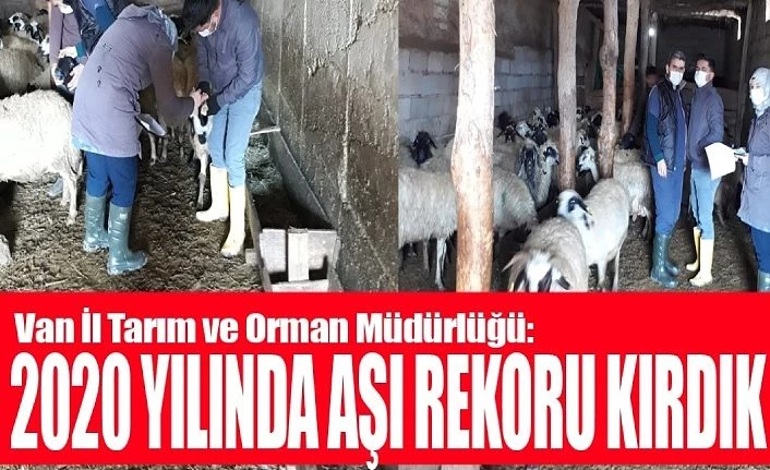 Van İl Tarım ve Orman Müdürlüğü: 2020 yılında aşı rekoru kırdık