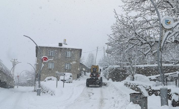 Van-Çatak kara yolu trafiğe kapatıldı