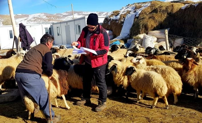 Van İl Tarım ve Orman Müdürlüğü'nde hafta sonu mesaisi