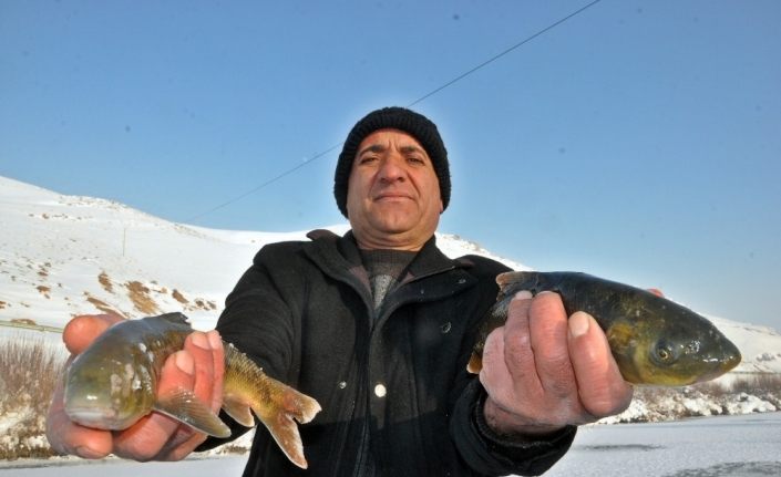 Yüksekova’da buz tutan derede ’Eskimo usulü’ balık avı