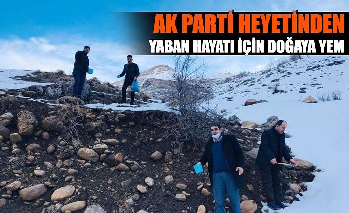 AK Parti heyetinden yaban hayatı için doğaya yem