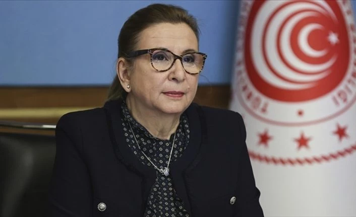 Bakan Pekcan: Yiyecek ve içecek işletmelerine verilecek ciro kaybı desteği ödemeleri için başvuru sürecini başlattık