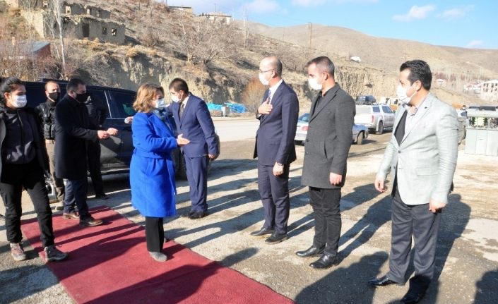 Bakan Yardımcısı Yavuz, Yüksekova’da incelemelerde bulundu