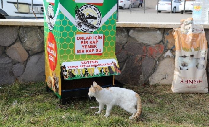 Bingöl’de  12 noktaya mamamatik yerleştirildi