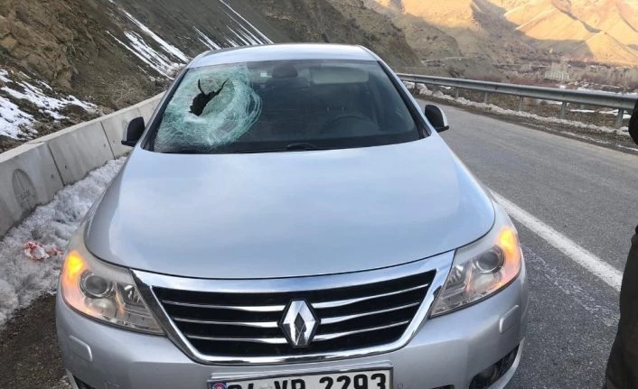 Dağdan kopan kaya parçası otomobilin camından içeri girerek sürücüyü yaraladı