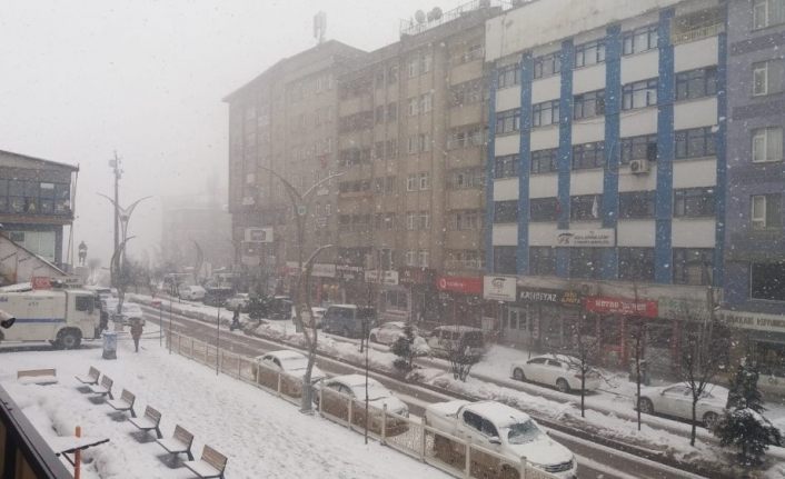 Hakkari’de kar ve sis etkili oldu