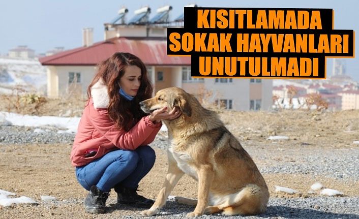 Kısıtlamada sokak hayvanları unutulmadı