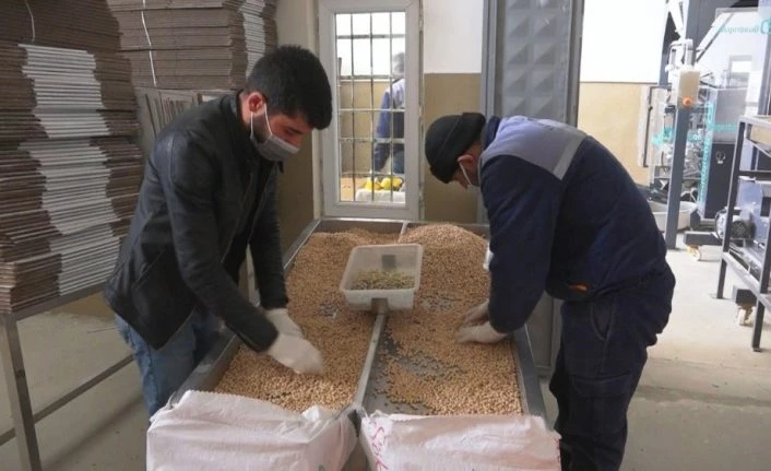 Malatya’da ihtiyaç sahiplerine 2 bin paket nohut ve kuru fasulye