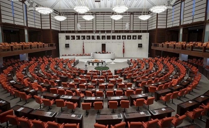 Meclis bu hafta down sendromlu ve otizmli bireylerin sorunlarını ele alacak