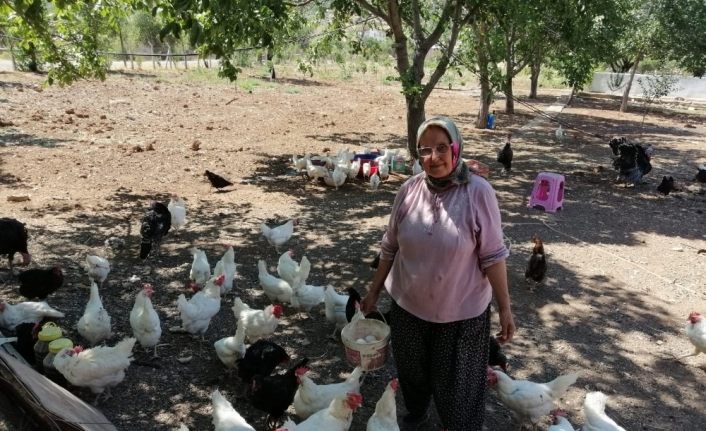 Mikrokredi kırsalda da kadınların hayatlarını değiştiriyor