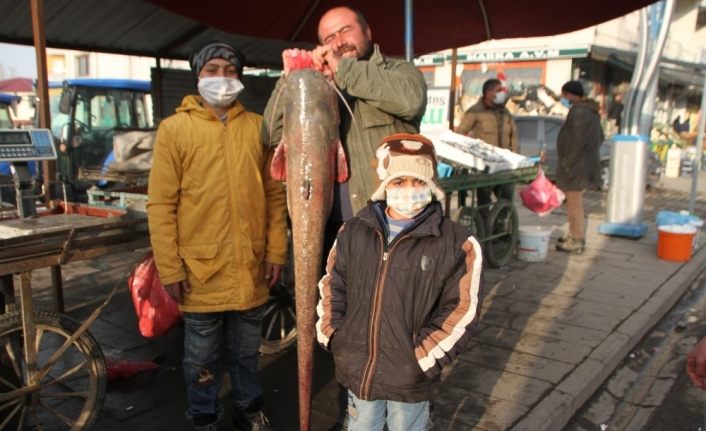 Murat Nehrinde 1,5 metre boyunda balık avladı