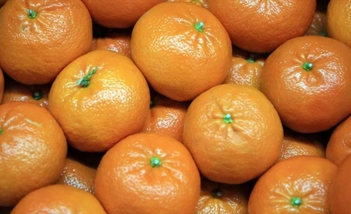 Ocakta fiyatı en fazla artan ürün mandalina, en çok düşen ise karnabahar oldu