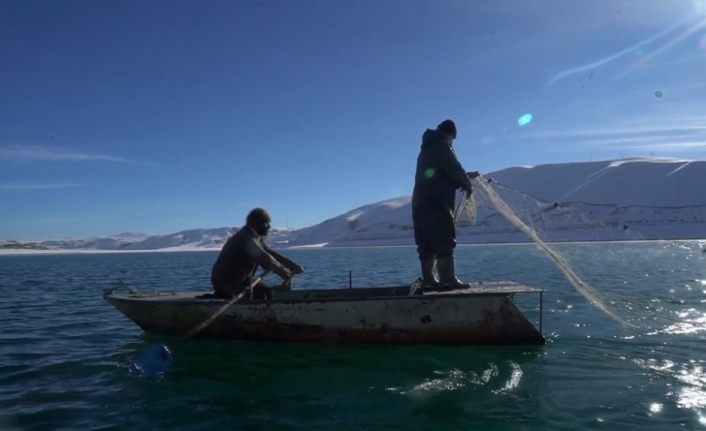 Van'da tek elle kürek çeken balıkçının yürek burkan hikayesi