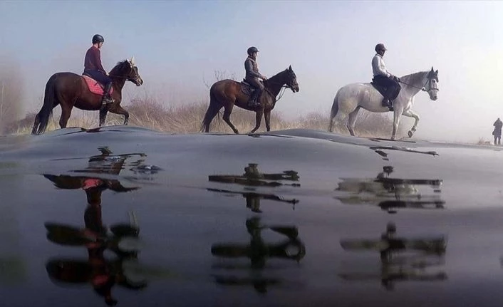 Uluabat Gölü