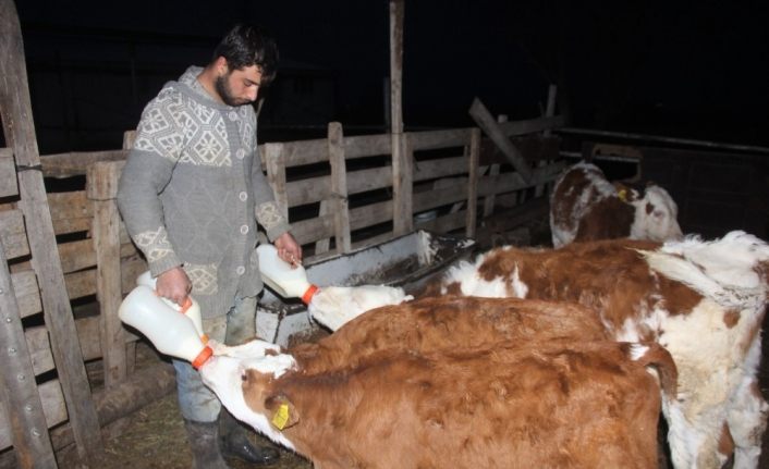 Üniversiteyi bitirip çiftçilik yaparak kendi işinin patronu oldu