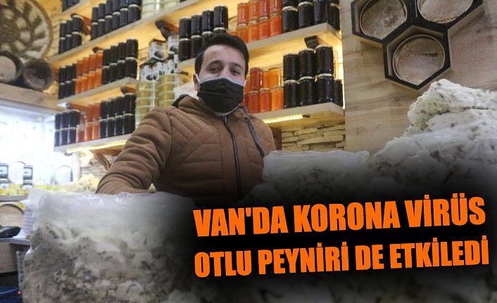 Van'da korona virüs otlu peyniri de etkiledi