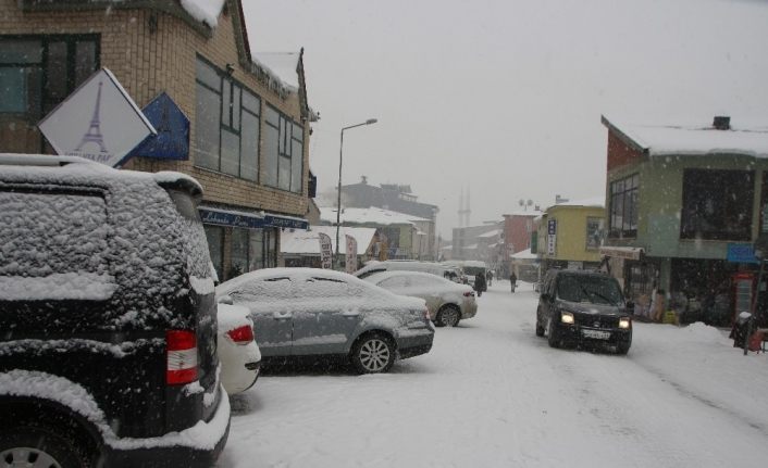 Varto’da kar yağışı