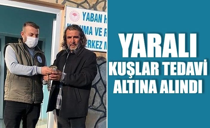 Yaralı kuşlar tedavi altına alındı