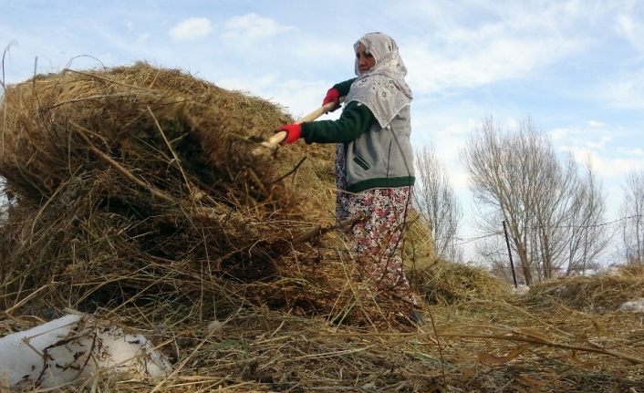 70 yaşındaki Safiye Nine, 10 kişinin yapamadığı işi tek başına yapıyor