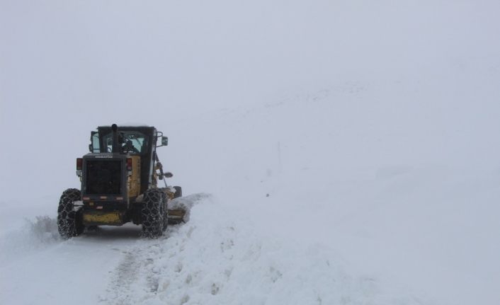 Bingöl’de karla kapanan 67 köy yolu ulaşıma açıldı