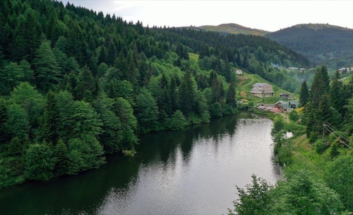 Doğu Karadeniz