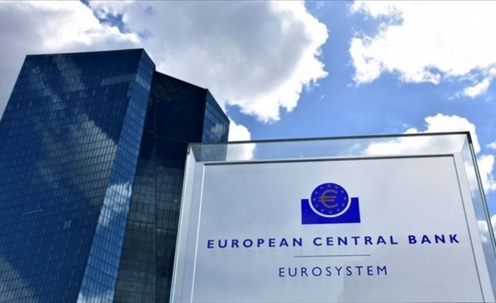 ECB Denetim Kurulu Başkanı Enria: Avro Bölgesi bankaları geri dönmeyen kredilerde artışa hazır olmalı