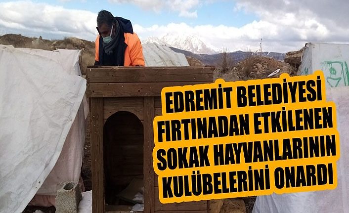 Edremit Belediyesi fırtınadan etkilenen sokak hayvanlarının kulübelerini onardı